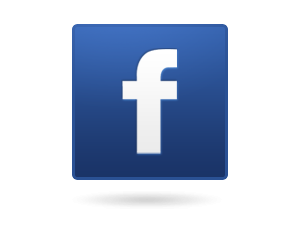 fb logo web