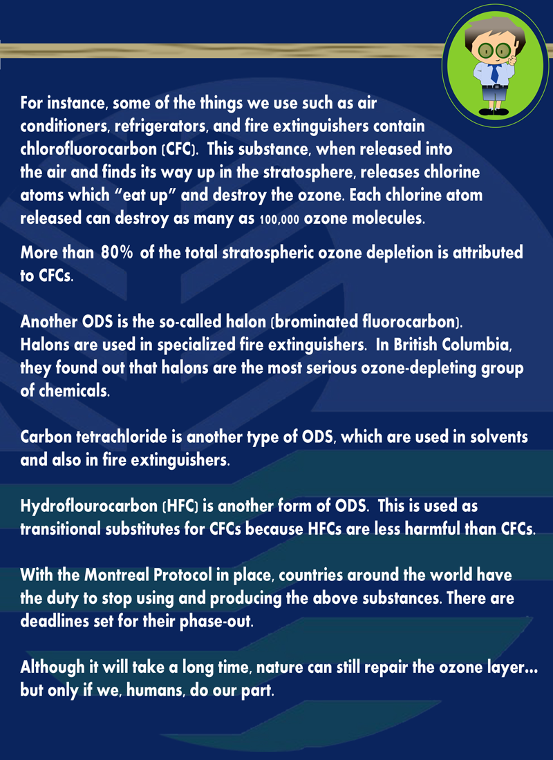 OZONE LAYER PAGE3 web